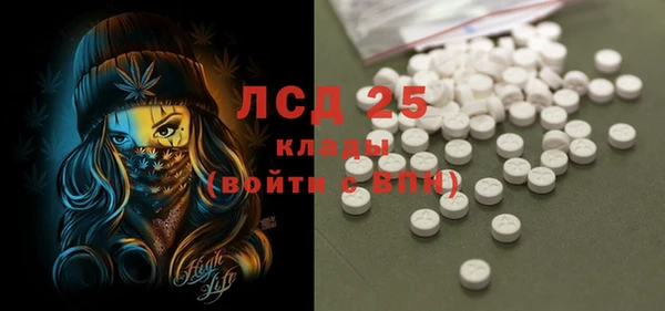 прущие грибы Абдулино
