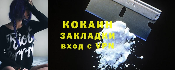 прущие грибы Абдулино