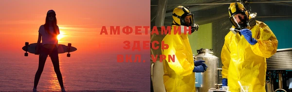 прущие грибы Абдулино