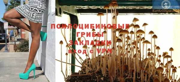 прущие грибы Абдулино