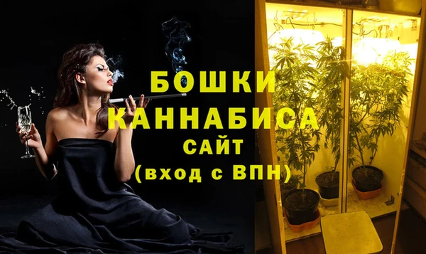 прущие грибы Абдулино