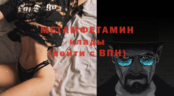 прущие грибы Абдулино