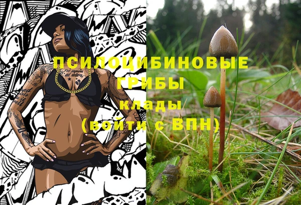 прущие грибы Абдулино