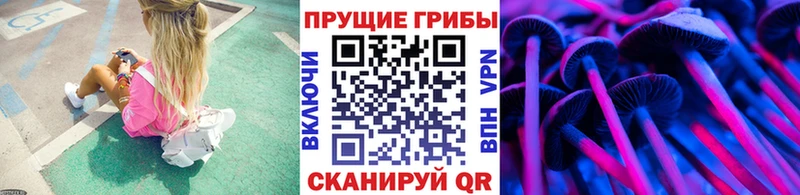 Галлюциногенные грибы мухоморы купить закладку Тында