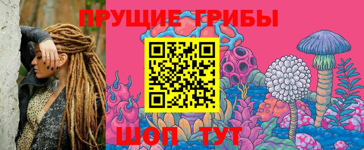 Псилоцибиновые грибы MAGIC MUSHROOMS Тында